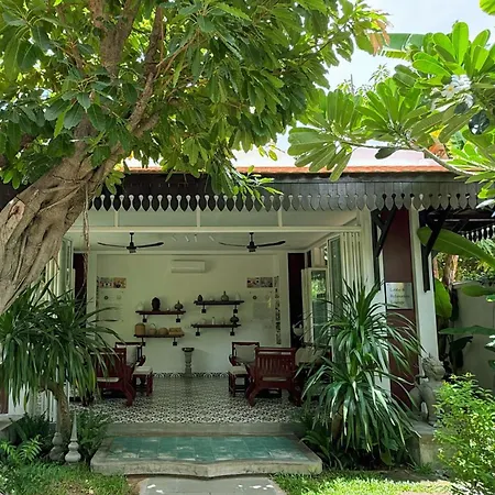 Moringa Tree Maison