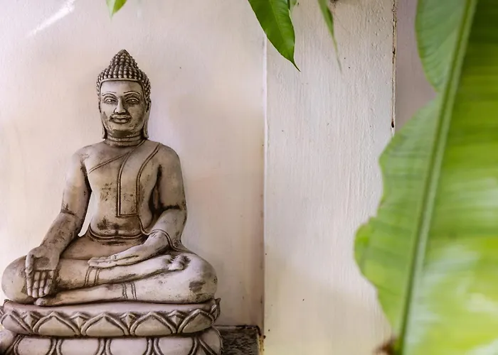 Hotel Moringa Tree Maison Siem Reap
