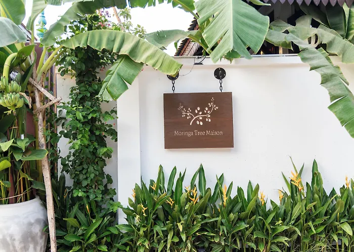 Hotel Moringa Tree Maison Siem Reap