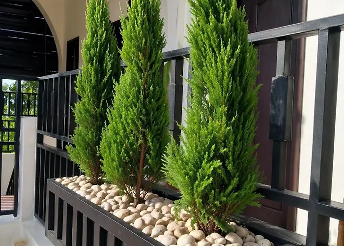 Hotel Moringa Tree Maison Siem Reap