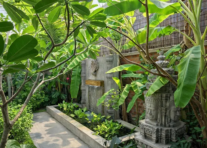 Moringa Tree Maison Siem Reap