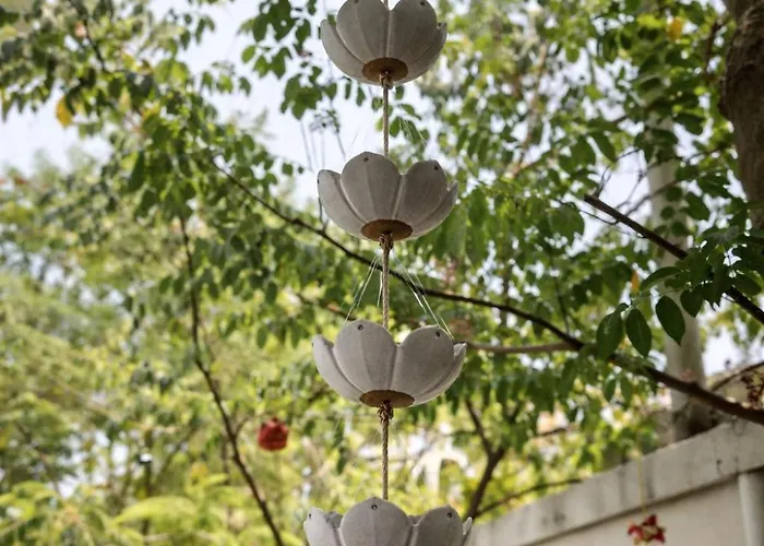 Hotel Moringa Tree Maison